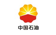 中国石油天然气集团有限公司党建信息化平台