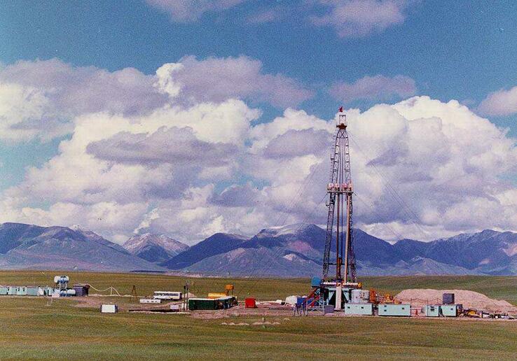 塔里木油田智慧党建