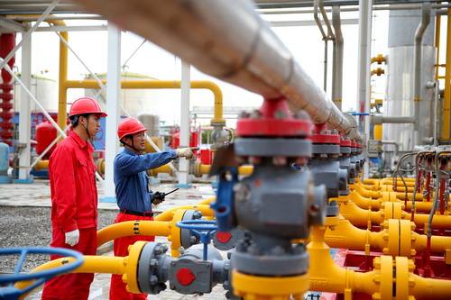 塔里木油田智慧党建