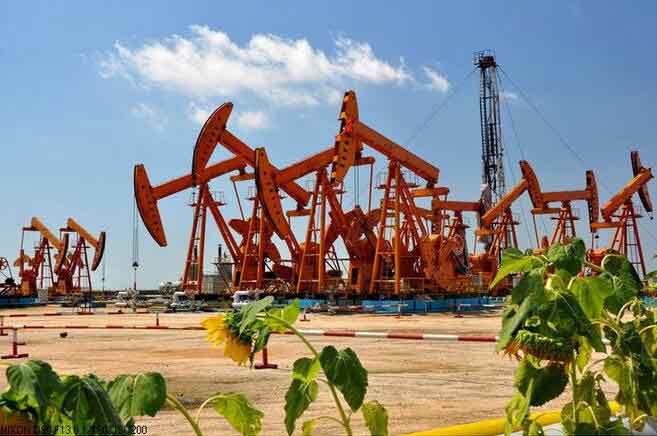 辽河油田智慧党建